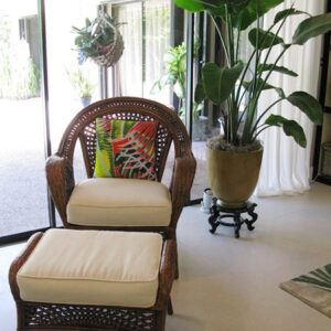 651-Fiesta Palms Chair and Pillow