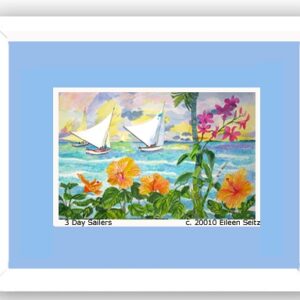 Framed 3 Day Sailers - Cornflower