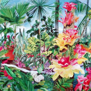 204-Tree Bromeliads