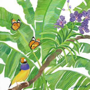 Orange headed Finch with Butterflies